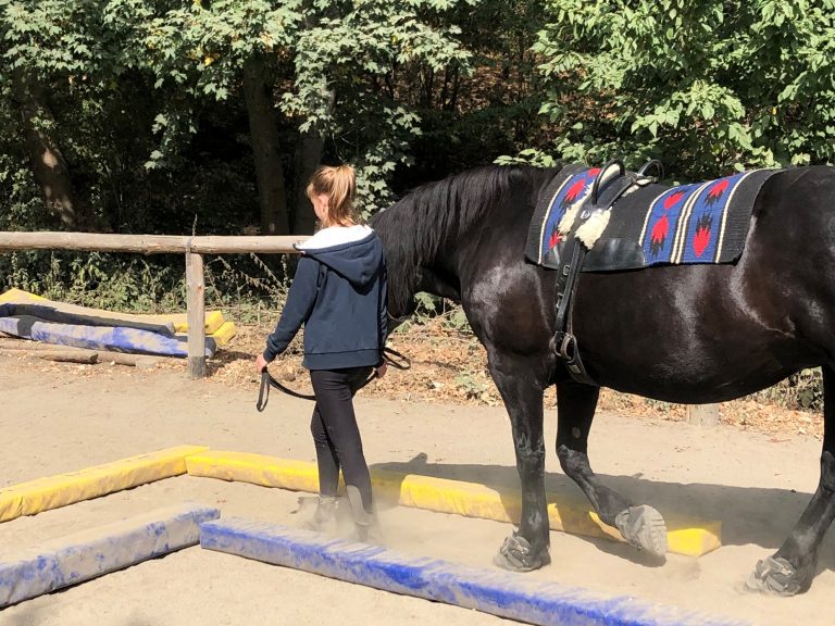 Pegasus e.V. - Resilienzförderung 2022