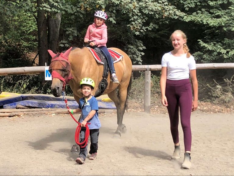 Pegasus e.V. - Resilienzförderung 2022