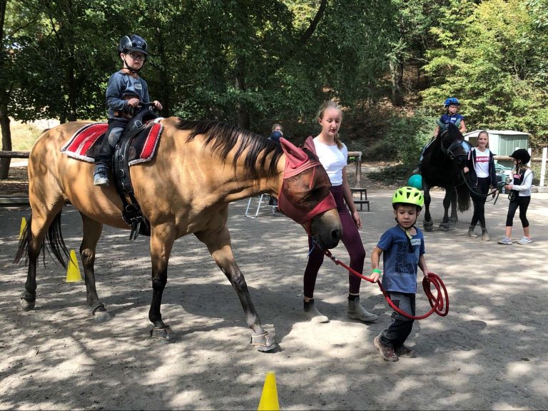 Pegasus e.V. - Resilienzförderung 2022