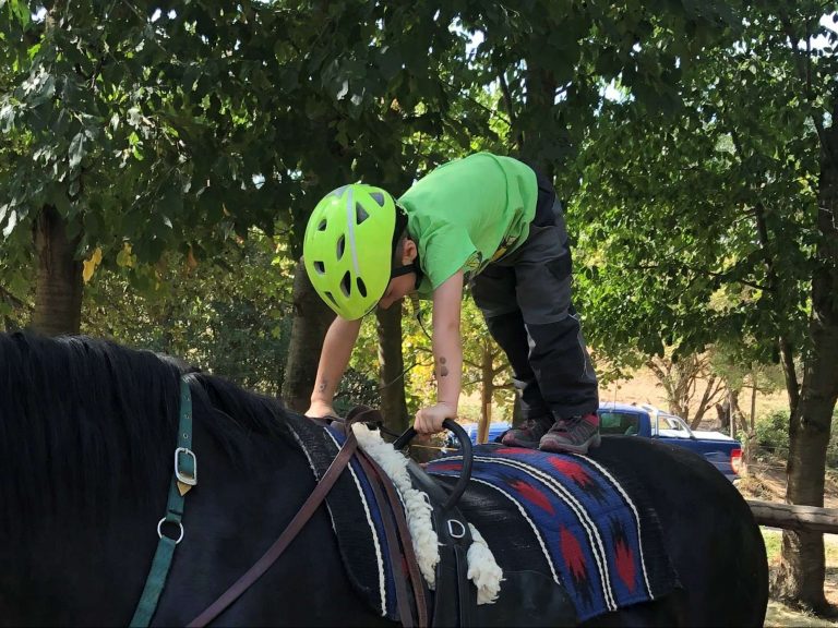 Pegasus e.V. - Resilienzförderung 2022