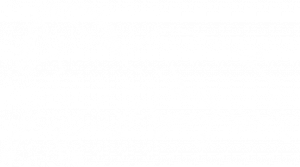 Pegasus e.V. - Logo