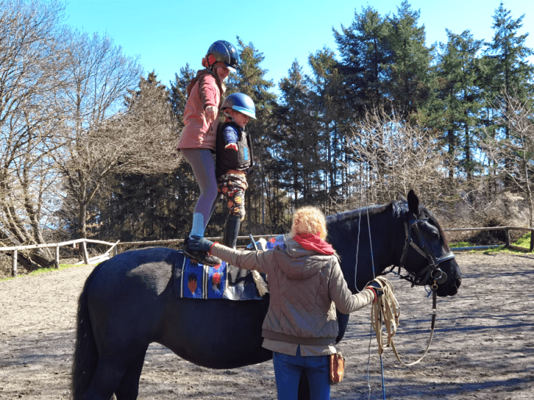 Pegasus_e.V_Resilienz_Ostern_2023 (12-1)