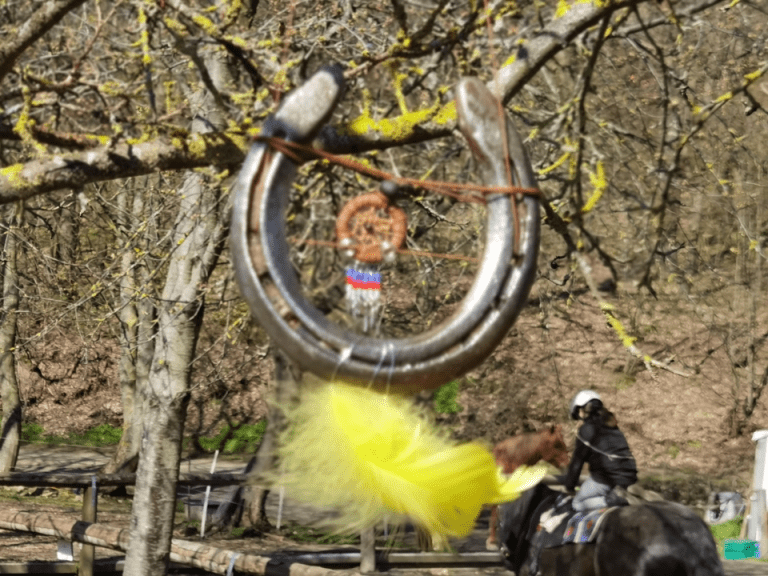 Pegasus_e.V_Resilienz_Ostern_2023 (15)