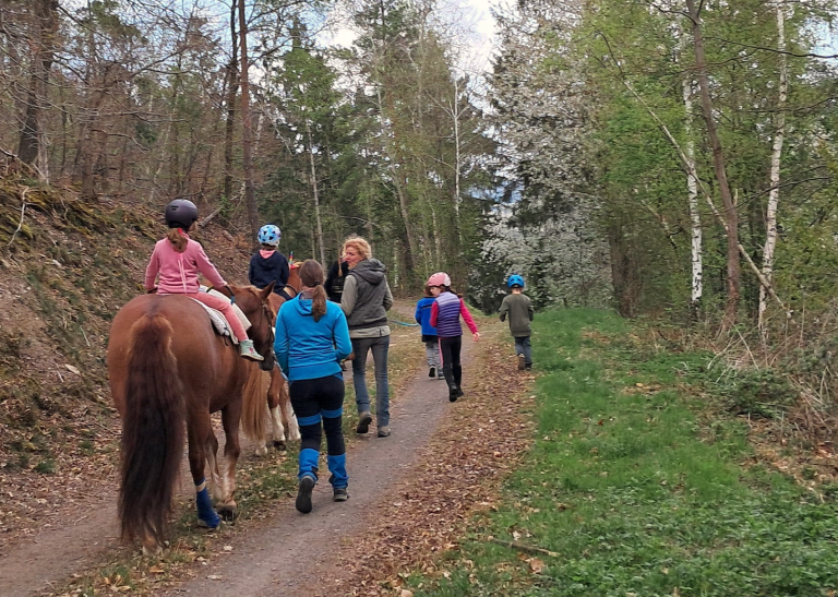 Pegasus_e.V_Resilienz_Ahrtalprojekt_2025 (001)