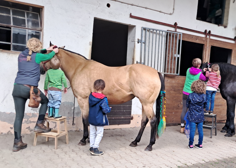 Pegasus_e.V_Resilienz_Ahrtalprojekt_2025 (0011)