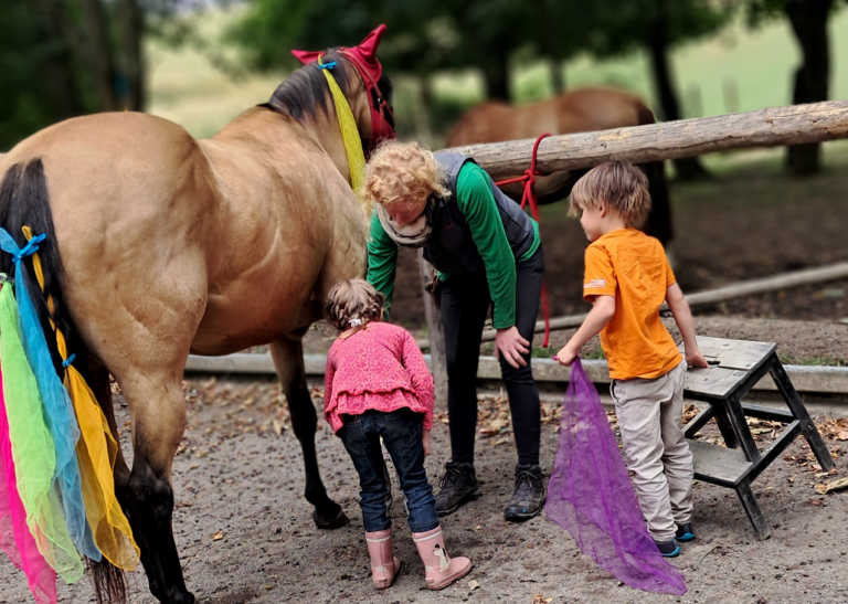 Pegasus_e.V_Resilienz_Ahrtalprojekt_2025 (0014)