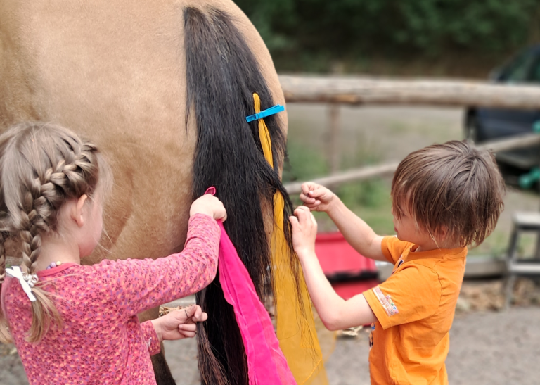 Pegasus_e.V_Resilienz_Ahrtalprojekt_2025 (0016)