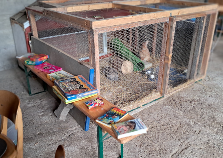 Pegasus_e.V_Resilienz_Ahrtalprojekt_2025 (004)