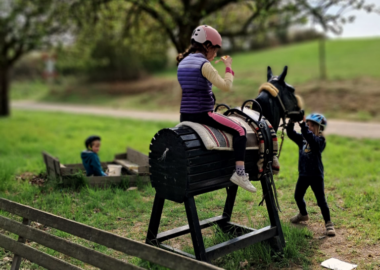 Pegasus_e.V_Resilienz_Ahrtalprojekt_2025 (005)