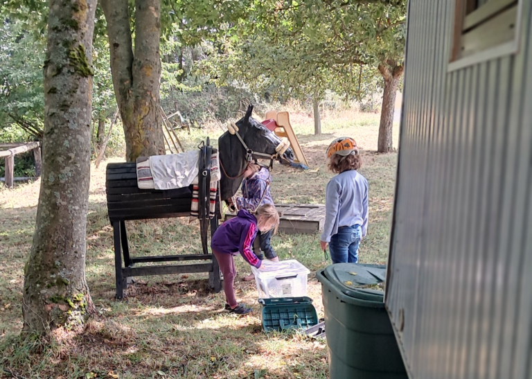 Pegasus_e.V_Resilienz_Ahrtalprojekt_2025 (006)