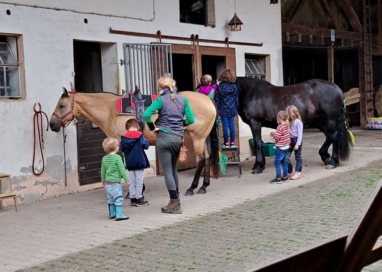 Pegasus_e.V_Resilienz_Ahrtalprojekt_2025 (007)