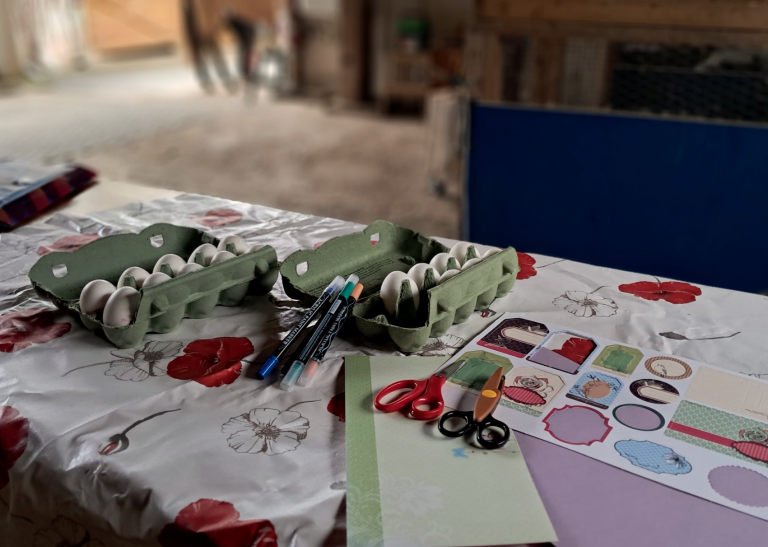 Pegasus_e.V_Resilienz_Ahrtalprojekt_2025 (008)