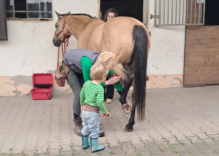 Pegasus_e.V_Resilienz_Ahrtalprojekt_2025 (009)