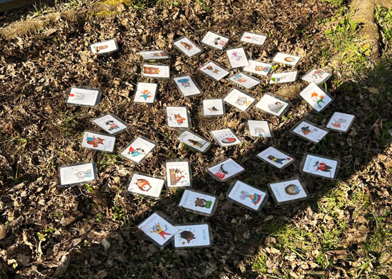 Pegasus_Resilienz_Ostern_2026 (1)