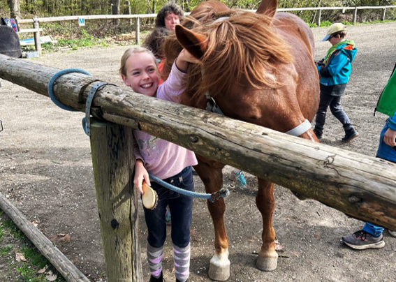 Pegasus_Resilienz_Ostern_2026 (4)