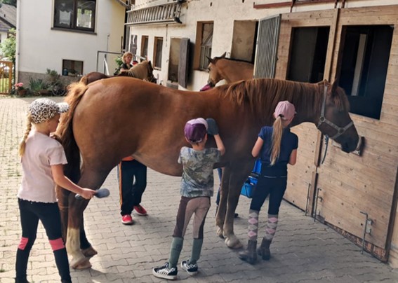Pegasus_Resilienz_Sommer_2026 (1)