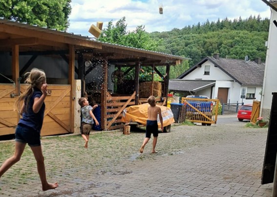 Pegasus_Resilienz_Sommer_2026 (5)